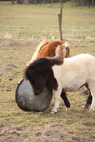 spelen spelen
