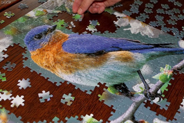 [wise%2520men%2520001-001%255B3%255D.jpg]