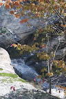 Hayes Canyon