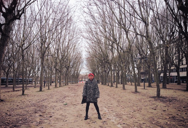 winter trees.jpg winter trees