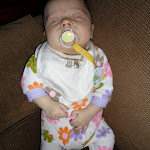 SAM_0654.JPG