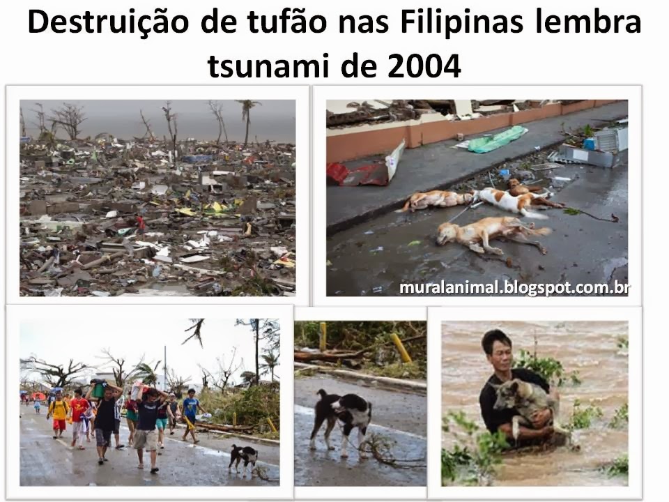 [filipinas%2520%25282%2529%255B3%255D.jpg]