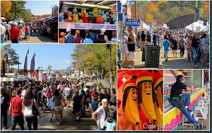 fair collage4 fair collage4