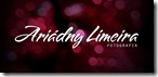 LOGO ARIADNY LIMEIRA