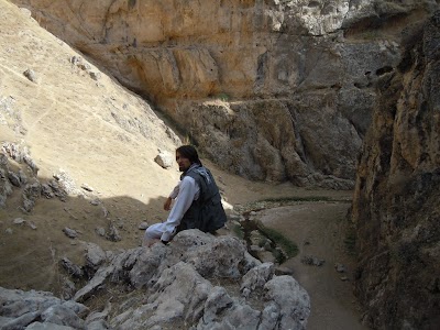 DSCN3966.jpg