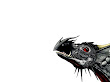 Dragons Head