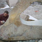 2011-04-17_17-02-29_23.jpg