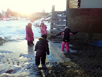 IMG_20130127_161711.jpg