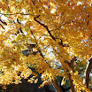 hokkaido_144.jpg