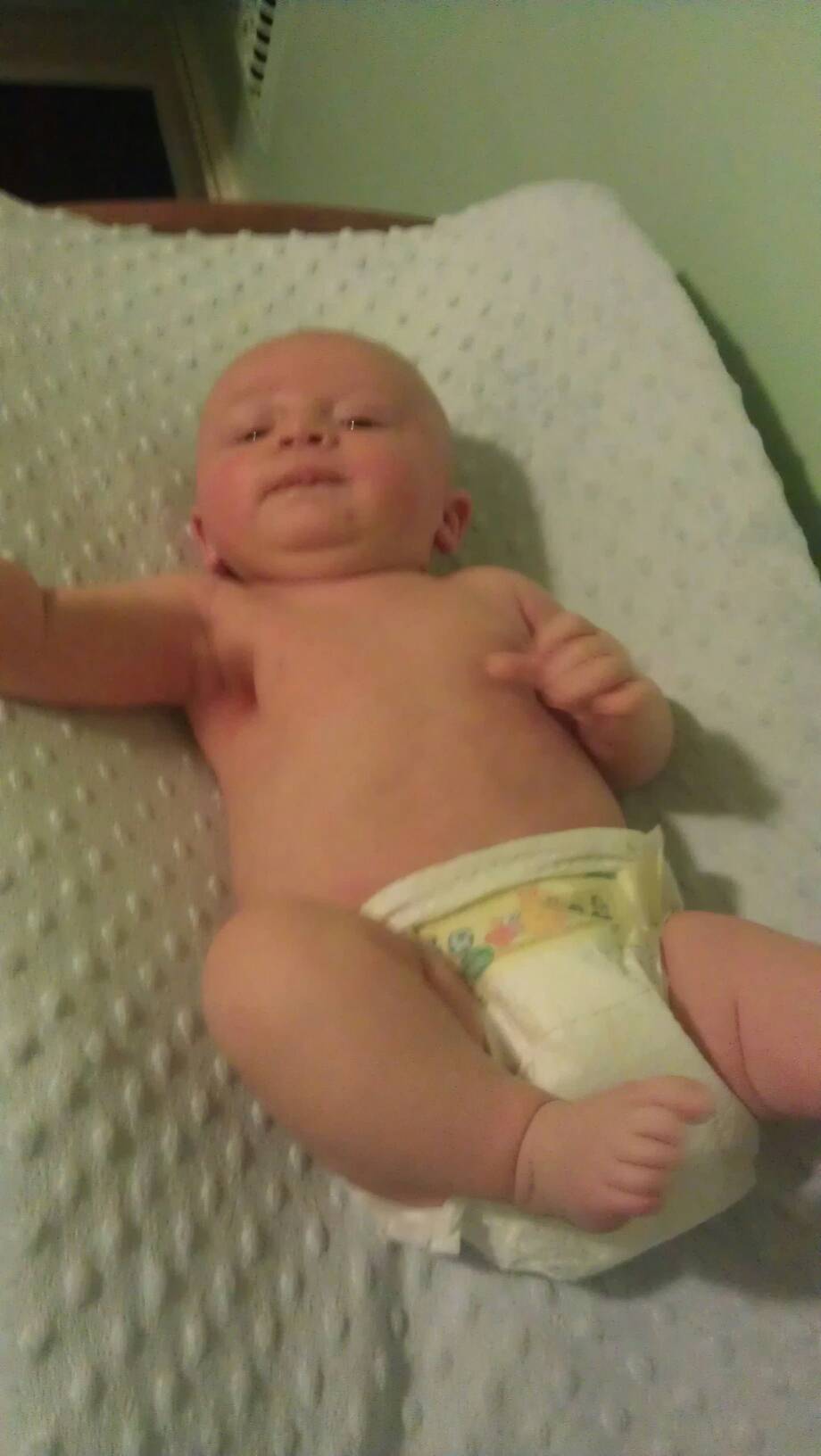 six weeks old today