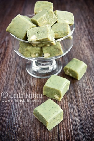 [matchafudge_15.jpg]