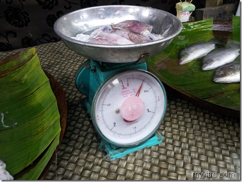 Timbang Sotong segar