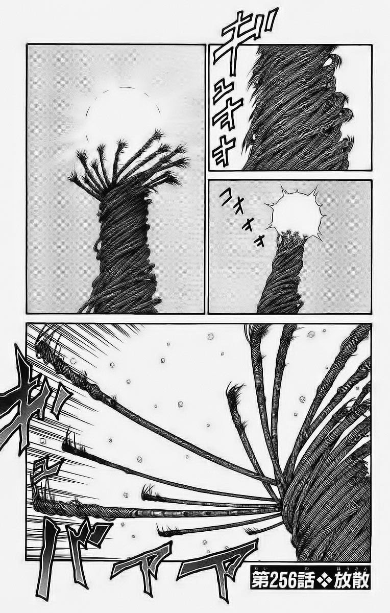 Vua Trên Biển Chap 256 - Next Chap 257 image 2