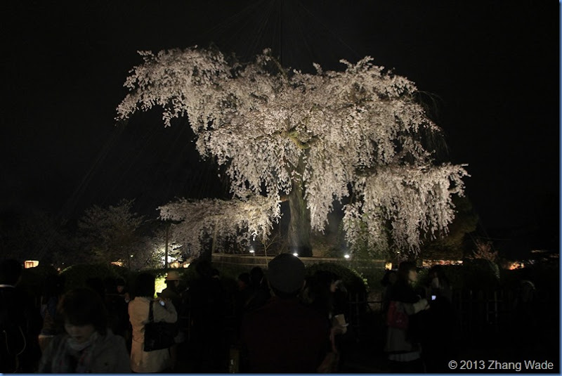 _MG_6274 _MG_6274