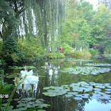 IMAG0786.JPG