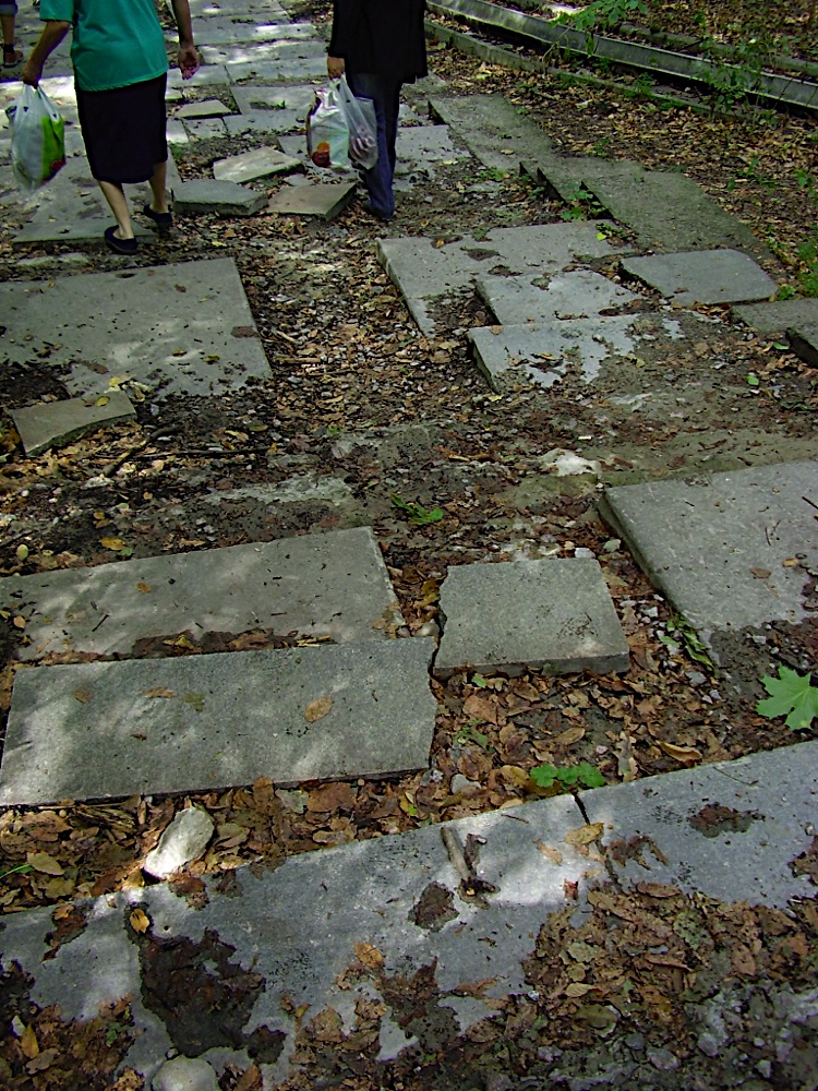P8280386.JPG