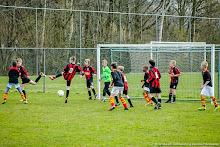 20150404 - WVV E2 - HSC E1 - 030.jpg