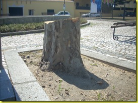 DSCN2654 DSCN2654