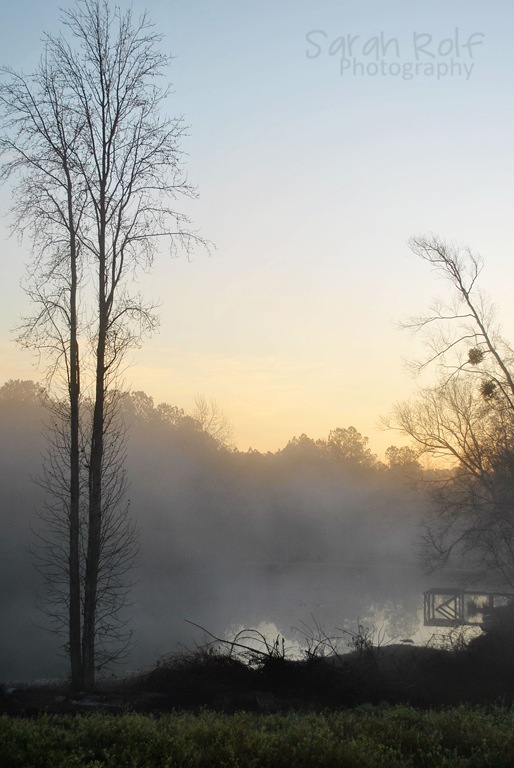 [foggy-dawn-at-pond%255B3%255D.jpg]