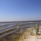 IMG_5666.JPG