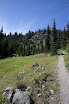 Marmot pass trail