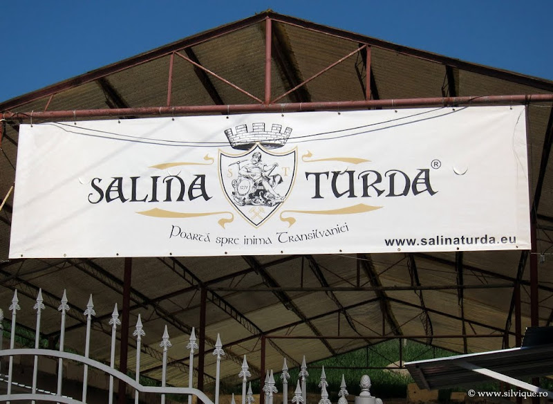 Bicicleta in zona Campina