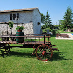 DSC_0419.JPG