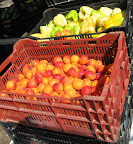 Crates of apricots and peppers. I got one of the peppers that was almost white.