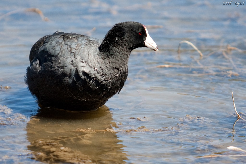 [20130625-IMG_2491%255B13%255D.jpg]