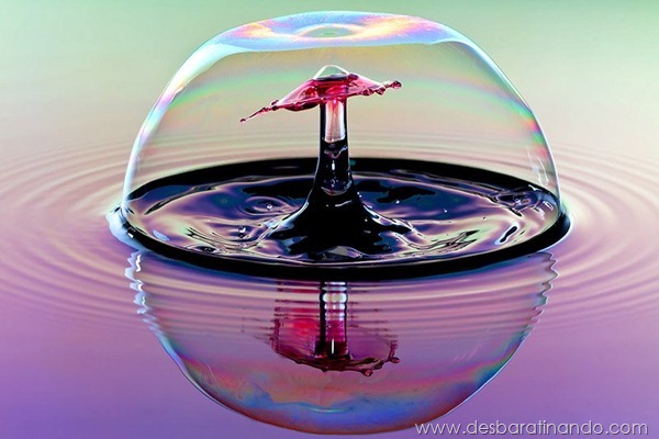 liquid-drop-art-gotas-caindo-foto-velocidade-hora-certa-desbaratinando (9) liquid-drop-art-gotas-caindo-foto-velocidade-hora-certa-desbaratinando (9)