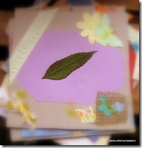 IMG_7953 IMG_7953