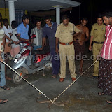 Udumbu at Nayathode 16.JPG