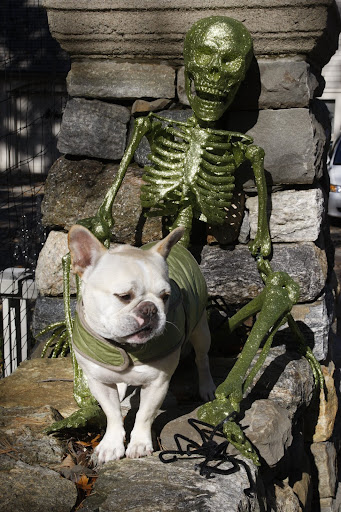 It started when we came back from a long walk and found these horrors at the gate! - spiders and a green skeleton!
