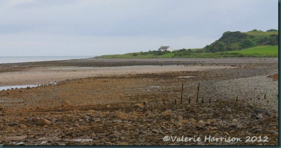 12-sandhead 12-sandhead