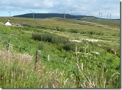 wind turbines2