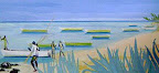 Bord de la mer