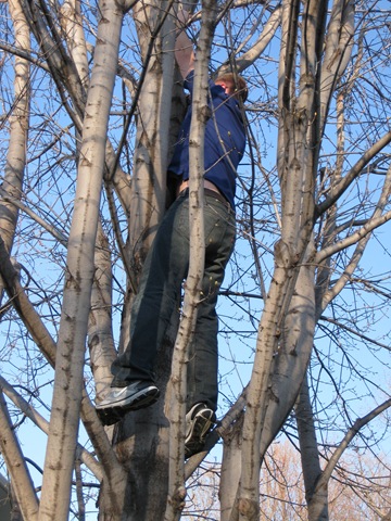 [IMG_6162%255B2%255D.jpg]