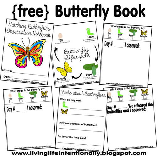Critical image in butterfly life cycle printable book Gutsy image regarding butterfly life cycle printable book