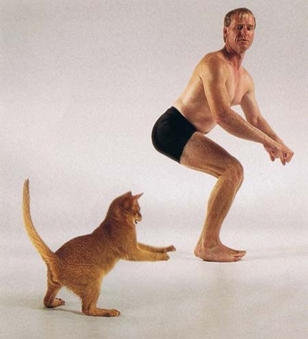 [strange-cats-expain-that-8%255B2%255D.jpg]