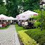IMGP8576_resize.jpg