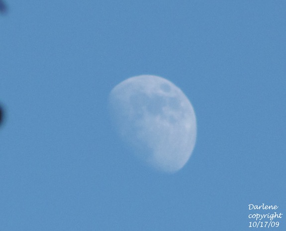 DAYTIME MOON