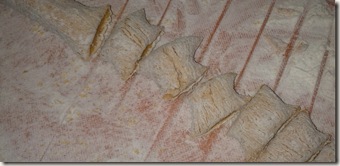 IMG_20120204_174921