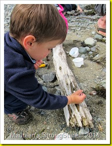 IMG_3092 IMG_3092