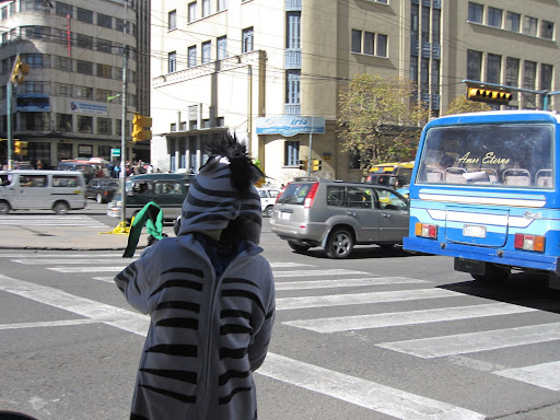 Crossing guards / zebras