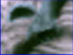 [artificial%2520tunnel%2520evidence_00%255B2%255D.jpg]