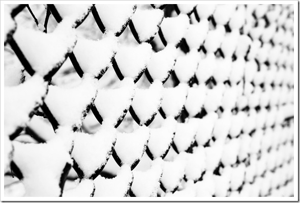 BW Snow 3