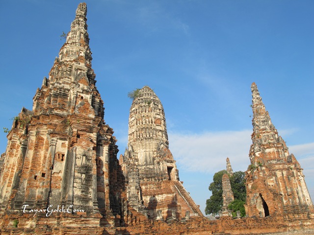 [IMG_2486%255B2%255D.jpg]