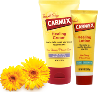 [carmex-skin-care%255B2%255D.png]