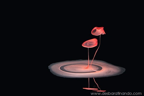 liquid-drop-art-gotas-caindo-foto-velocidade-hora-certa-desbaratinando (178) liquid-drop-art-gotas-caindo-foto-velocidade-hora-certa-desbaratinando (178)