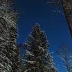 Lac Eibsee en hiver